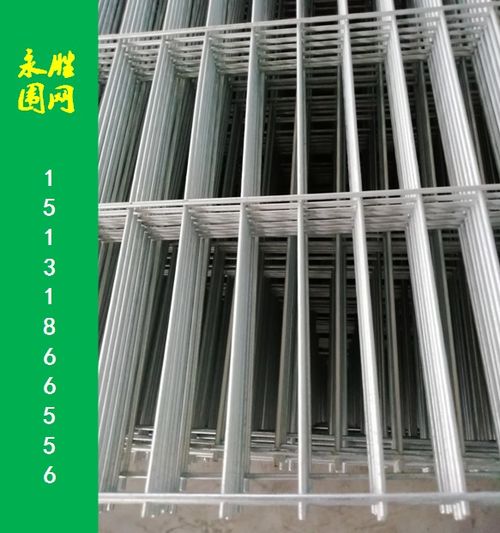 信鴿籠賽鴿棚圍網(wǎng)網(wǎng)片 河北永勝絲網(wǎng)制品廠