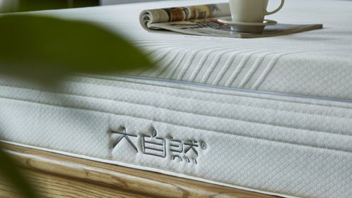 行業標桿 大自然床墊獲得綠色工廠稱號